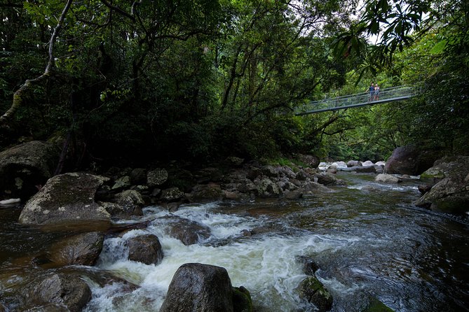 Cape Tribulation, Mossman Gorge, and Daintree Rainforest Premium Day Tour - Additional Information