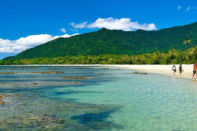 Cape Tribulation, Mossman Gorge, and Daintree Rainforest Premium Day Tour - Common Questions