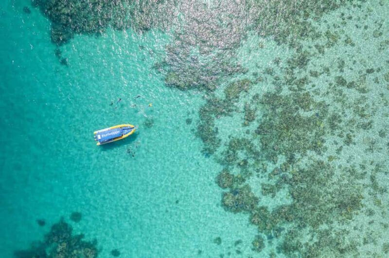 Cape Tribulation Ocean Safari - Great Barrier Reef Adventure - Good To Know