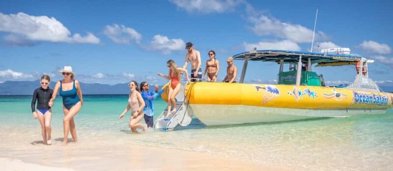 Cape Tribulation Ocean Safari - Great Barrier Reef Adventure - The Experience on the Water