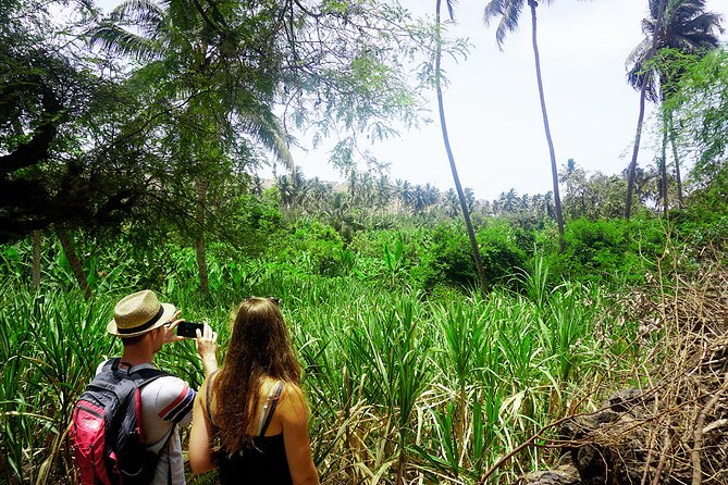Cape Verde: Best Trails of Santiago and Fogo Islands - Hotel Check-in and Overview