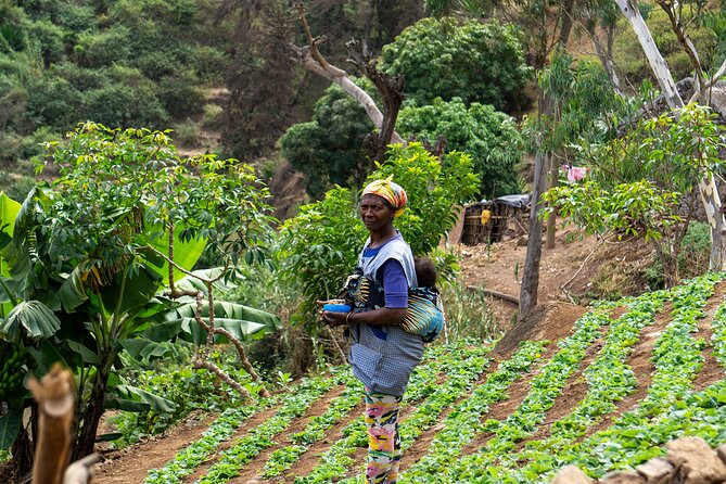 Cape Verde: Best Trails of Santiago and Fogo Islands - Day 1: Exploring Santiago Island