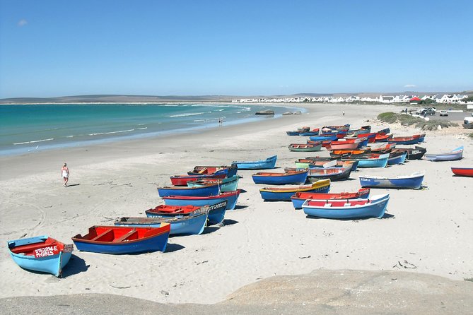 Cape West Coast Full Day Private Day Tour - Tour Highlights
