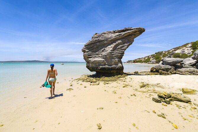 Cape West Coast Full Day Private Day Tour - Reviews