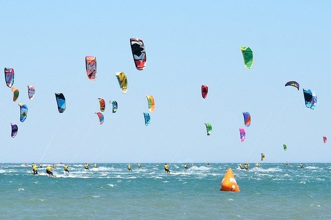 Cape West Coast Full Day Private Day Tour - Common Questions