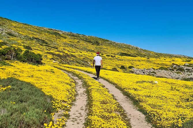 Cape West Coast Tour - Itinerary Overview