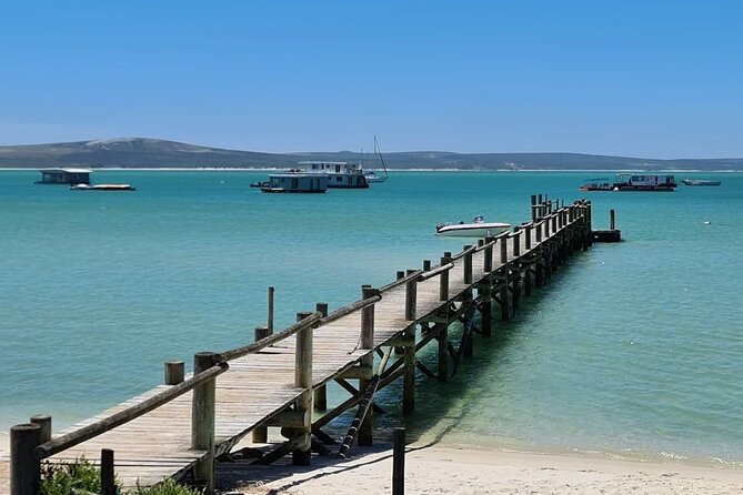 Cape West Coast Tour - Traveler Photos and Reviews