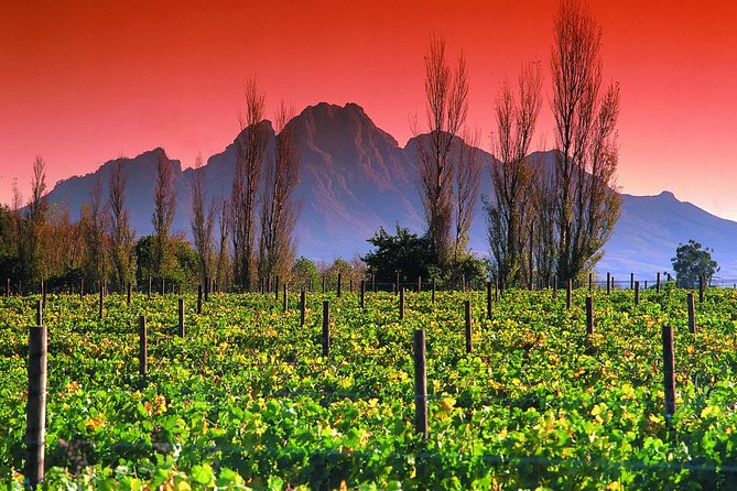 Cape Winelands and the Garden Route - 5 Days - Day 1: Cape Winelands Tour