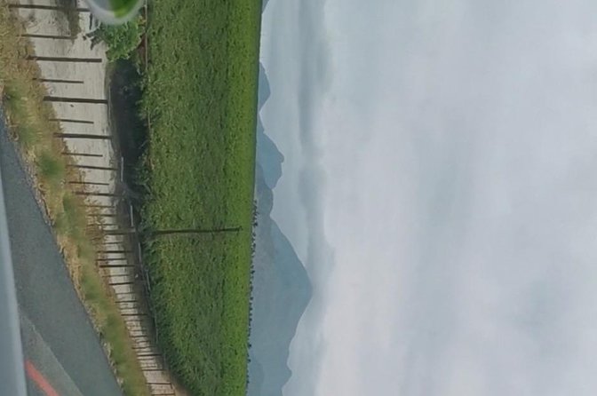 Cape Winelands and Wine Tasting - History of Cape Winelands