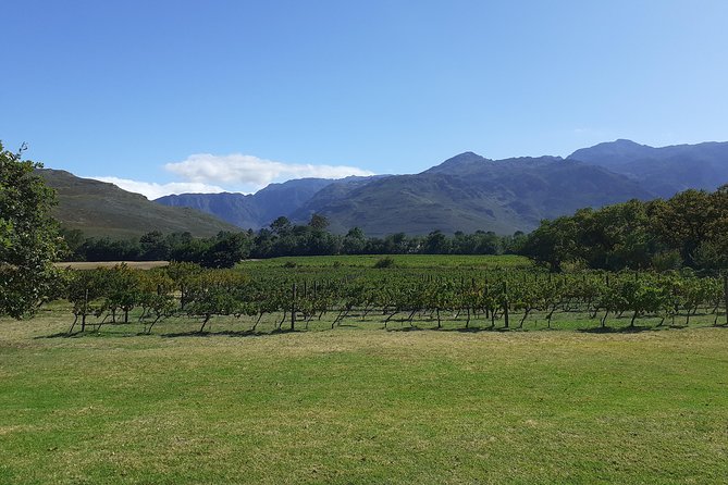 Cape Winelands and Wine Tasting Full Day Tour - Scenic Mountain Ranges Along the Way