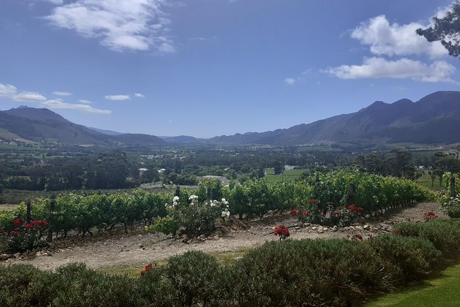 Cape Winelands and Wine Tasting Full Day Tour - Reviews and Ratings