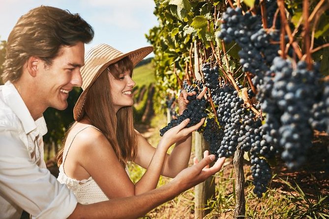 Cape Winelands Guided Day Tour From Cape Town - Tour Details