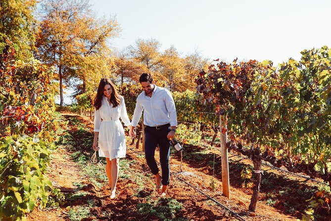 Cape Winelands Private Tour to Stellenbosch and Franschhoek - Winery Options