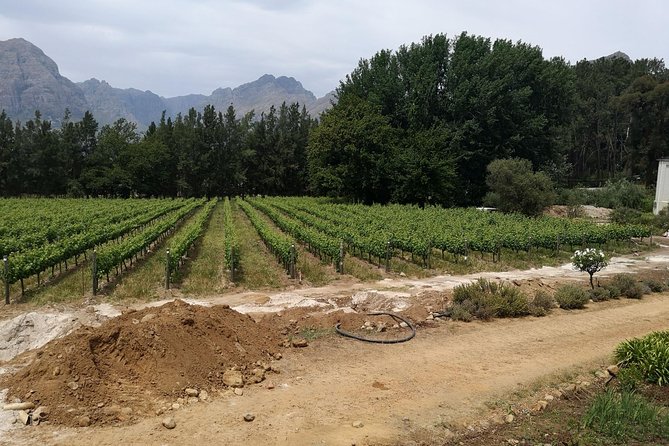 Cape Winelands Stellenbosch Franschhoek Paarl Tour From Cape Town - Inclusions