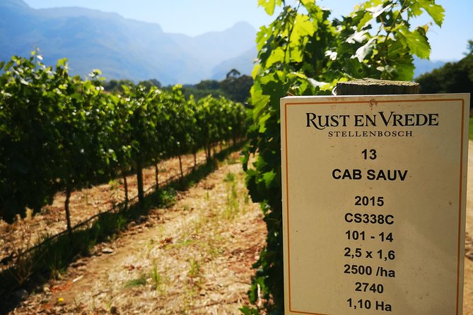 Cape Winelands Stellenbosch Franschhoek Paarl Tour From Cape Town - Pricing and Terms