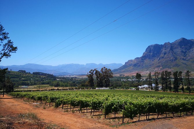 Cape Winelands Stellenbosch Franschhoek Paarl Tour From Cape Town - Common Questions