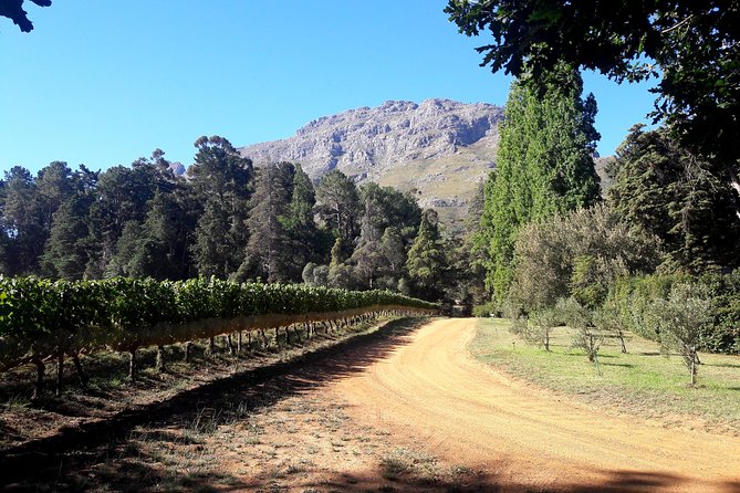 Cape Winelands Stellenbosch Private Afternoon Tour - The Sum Up