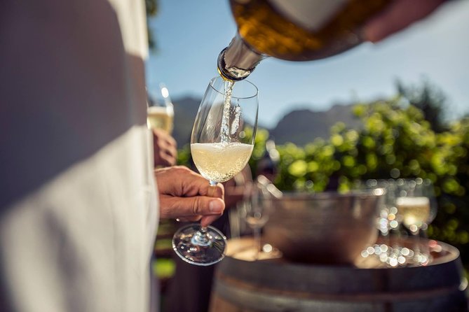 Cape Winelands Tour - Overview of the Cape Winelands