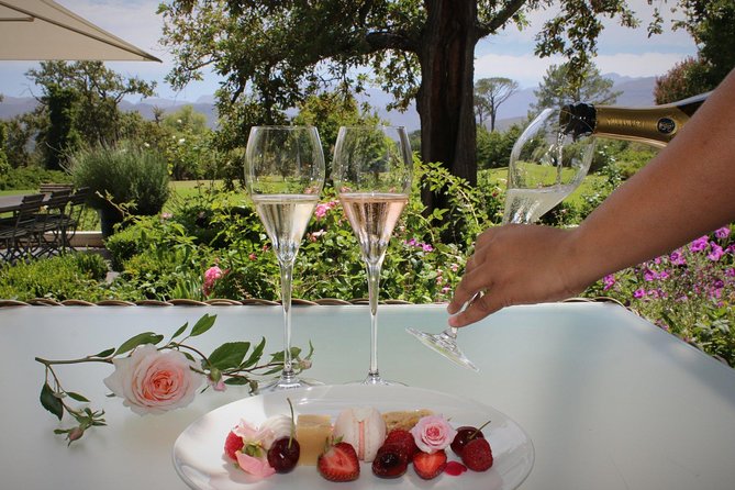 Cape Winelands Tour - Traveler Photos of the Cape Winelands