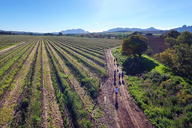 Cape Winelands Tour - Reviews of the Cape Winelands Tour