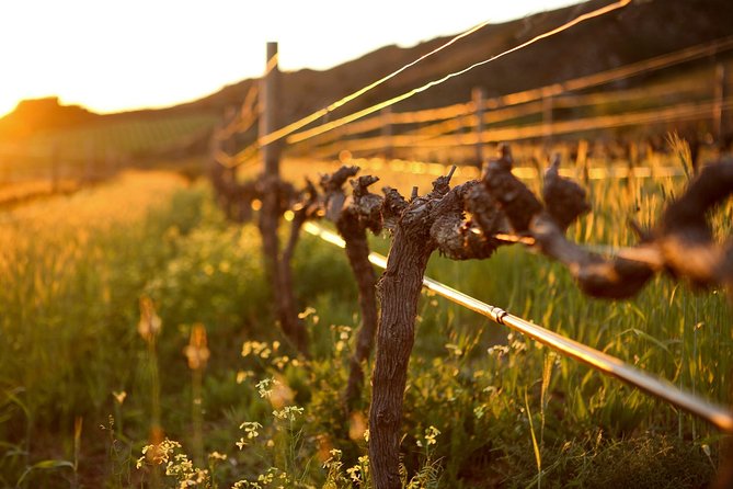 Cape Winelands Tour - Questions and Pricing for the Tour