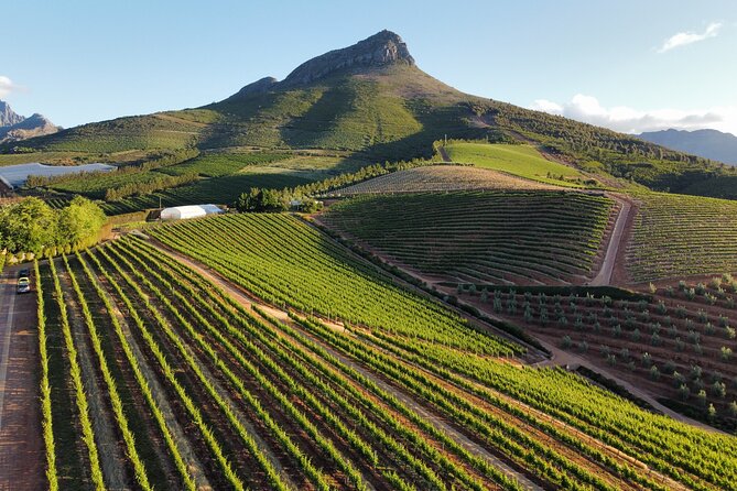 Cape Winelands Tour - Good To Know
