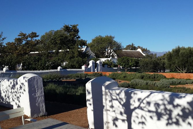 Cape Winelands Tour From Cape Town (Private Tour) - Wine Tasting Experience