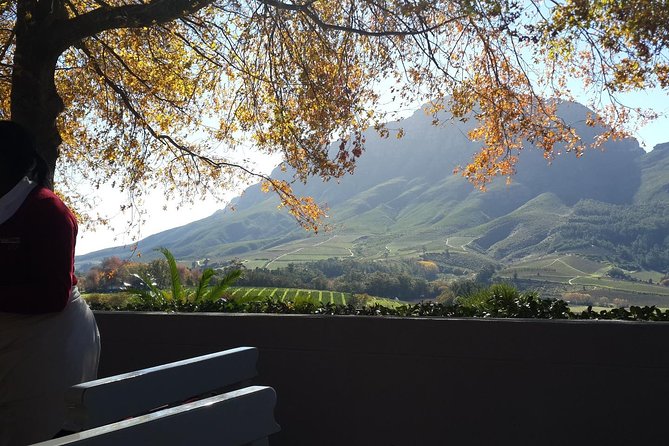 Cape Winelands Tour From Cape Town (Private Tour) - Exploring Stellenbosch