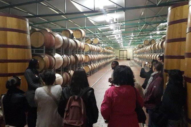 Cape Winelands Tour From Cape Town (Private Tour) - Discovering Franschhoek