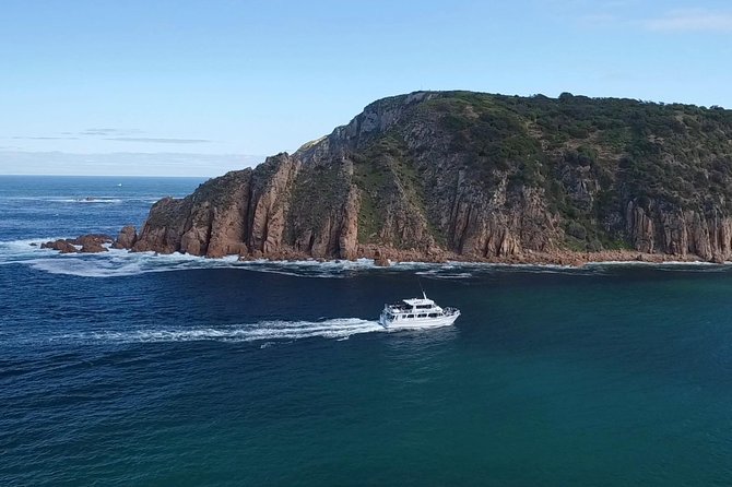 Cape Woolamai Sightseeing Cruise From San Remo - Wildlife Spotting