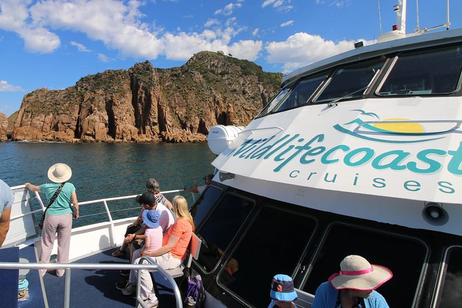 Cape Woolamai Sightseeing Cruise From San Remo - Common Questions