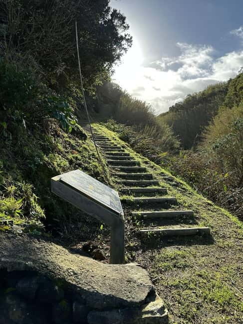 Capelas, Fenais da Luz, Tasting & Traditional Experiences - Who Will Love This Tour?