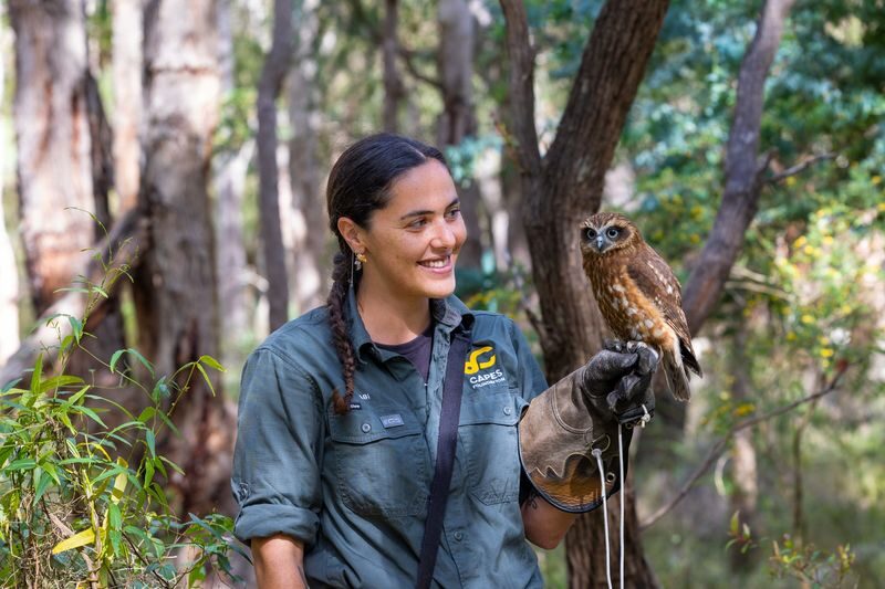 Capes Raptor Centre Ticket in Margaret River - What to know before you go