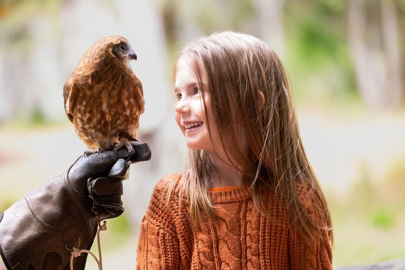 Capes Raptor Centre Ticket in Margaret River - A bird show with a purpose