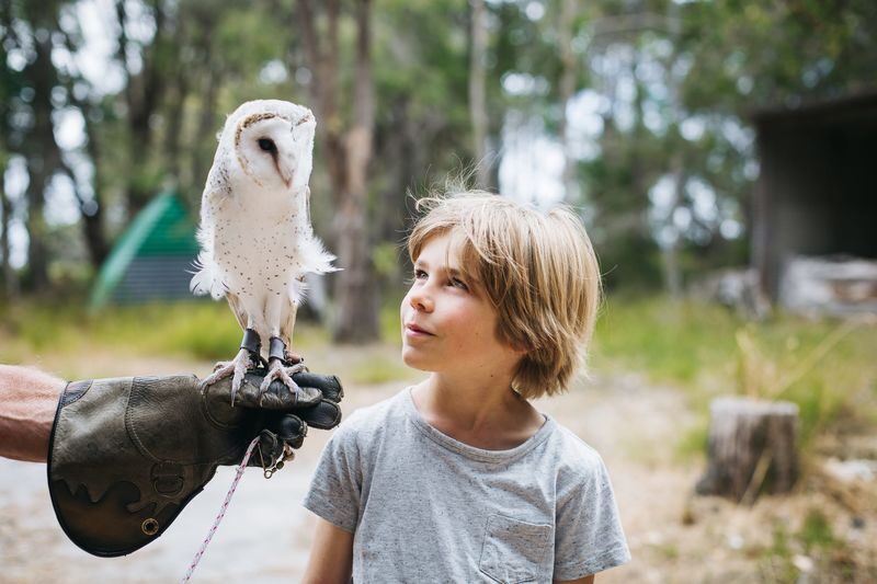 Capes Raptor Centre Ticket in Margaret River - How to make the 90 minutes count