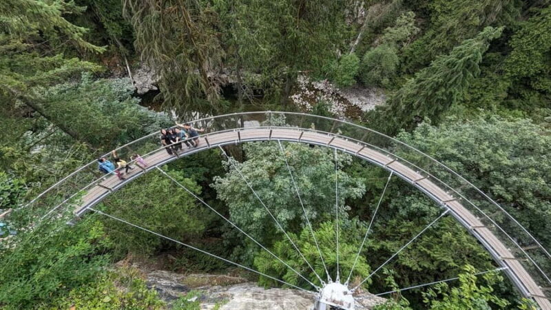 Capilano Br+Granville Isl+Capilano Hatchery+Lynn Canyon Tour - An In-Depth Look at the Itinerary