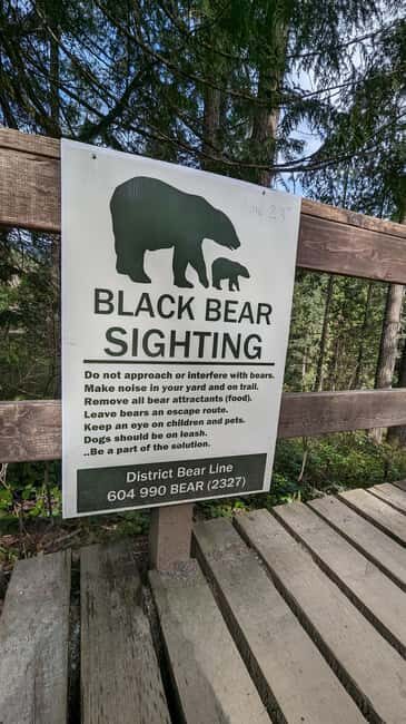 Capilano Br+Granville Isl+Capilano Hatchery+Lynn Canyon Tour - Who Is This Tour Best For?