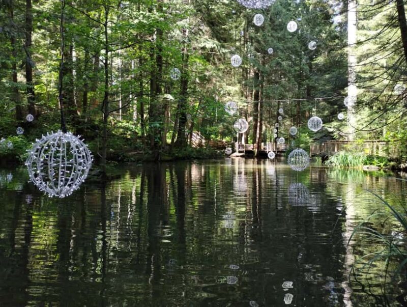 Capilano Br+Grouse Mtn+Dam+Lake&Hatcher/5in1/Small Group/Car - FAQ