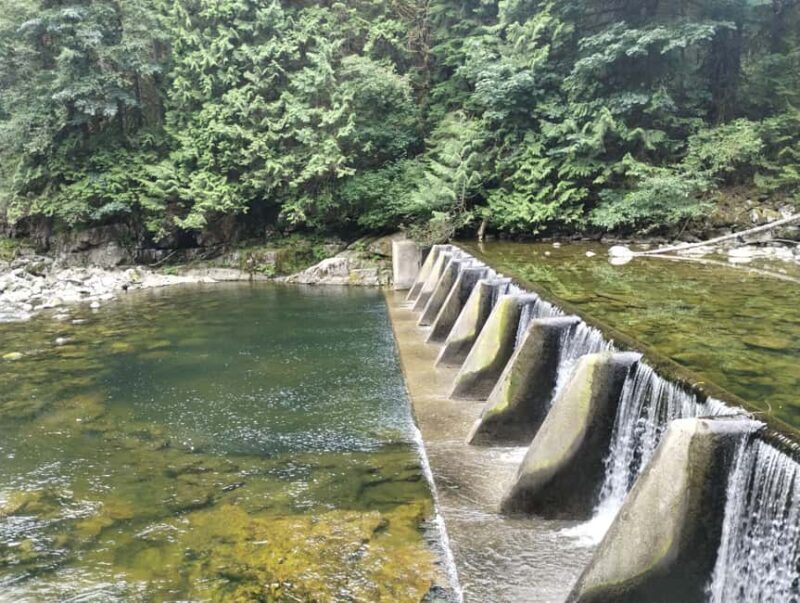 CAPILANO BR+GROUSE Mtn+STANLEY P+DAM+LAKE+HATCHERY/CAR/9in1 - Exploring Vancouver’s Highlights with a Private Car