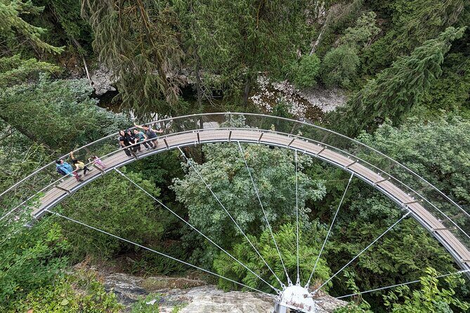 Capilano Bridge+Granville Isl+ Capilano Hatchery+Lynn Canyon Tour - Exploring Lynn Canyon Park: A Forest Escape