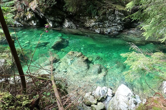 Capilano Bridge+Granville Isl+ Capilano Hatchery+Lynn Canyon Tour - Capilano River Hatchery: Fish Tales and Education