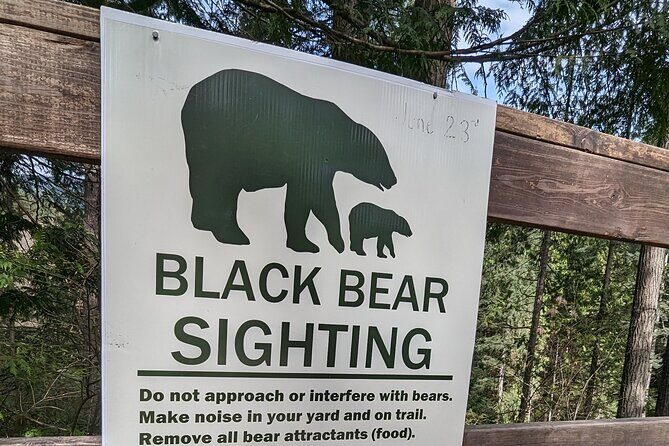 Capilano Bridge+Granville Isl+ Capilano Hatchery+Lynn Canyon Tour - Practical Details & What to Expect