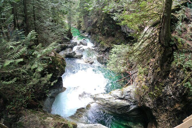 Capilano Bridge+Granville Isl+ Capilano Hatchery+Lynn Canyon Tour - Final Thoughts: Who Will Love This Tour?