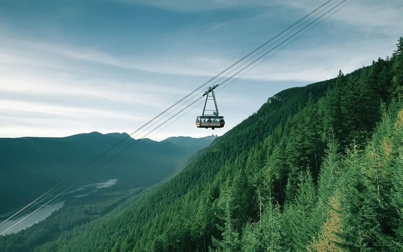 Capilano Suspension Bridge & Grouse Mountain Full-Day Bus Tour - A day built around two North Shore landmarks