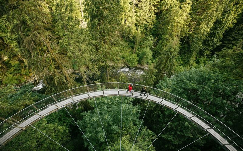 Capilano Suspension Bridge & Grouse Mountain Full-Day Bus Tour - At Grouse Mountain