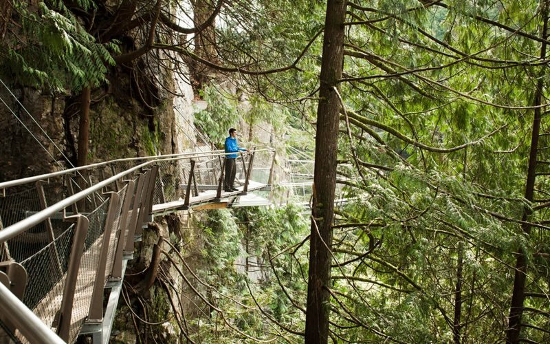 Capilano Suspension Bridge & Grouse Mountain Full-Day Bus Tour - Who will get the most from this tour?