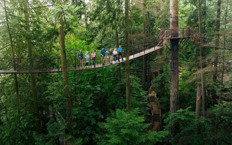 Capilano Suspension Bridge & Grouse Mountain Full-Day Bus Tour - Should you book it?