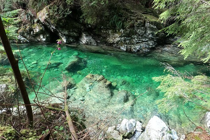 Capilano Suspension Bridge, Lynn Canyon & Capilano Hatchery Tour - The Iconic Capilano Suspension Bridge Park
