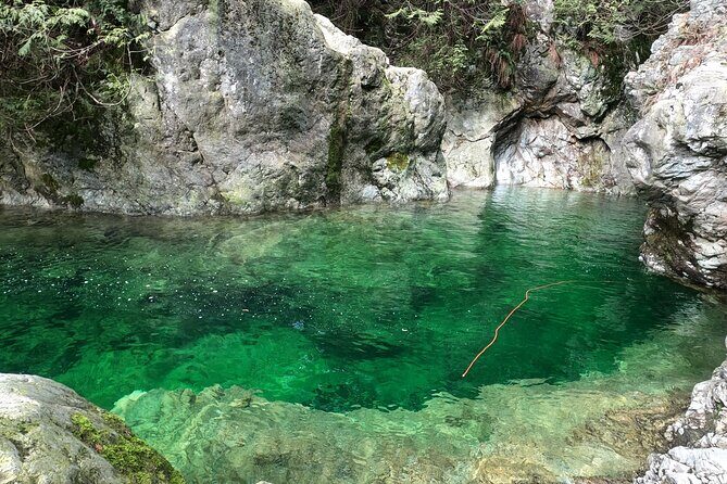 Capilano Suspension Bridge, Lynn Canyon & Capilano Hatchery Tour - Capilano Salmon Hatchery – An Educational Stop