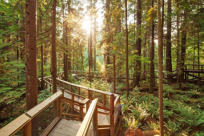 Capilano Suspension Bridge Park Ticket - Tips for Travelers Visiting the Park